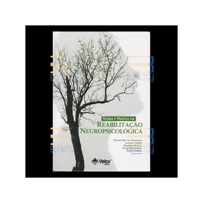 TEORIA E PRÁTICA NA REABILITAÇÃO NEUROPSICOLÓGICA