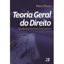 TEORIA GERAL DO DIREITO