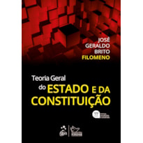 TEORIA GERAL DO ESTADO E DA CONSTITUIÇÃO