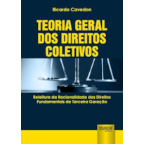 TEORIA GERAL DOS DIREITOS COLETIVOS - RELEITURA DA RACIONALIDADE DOS DIREITOS FUNDAMENTAIS DE TERCEIRA GERAÇÃO