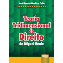 TEORIA TRIDIMENSIONAL DO DIREITO DE MIGUEL REALE