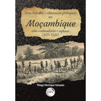 TERRA, TRABALHO E COLONIZAÇÃO PORTUGUESA EM MOÇAMBIQUE: ENTRE CONTINUIDADES E RUPTURAS (1875-1926)