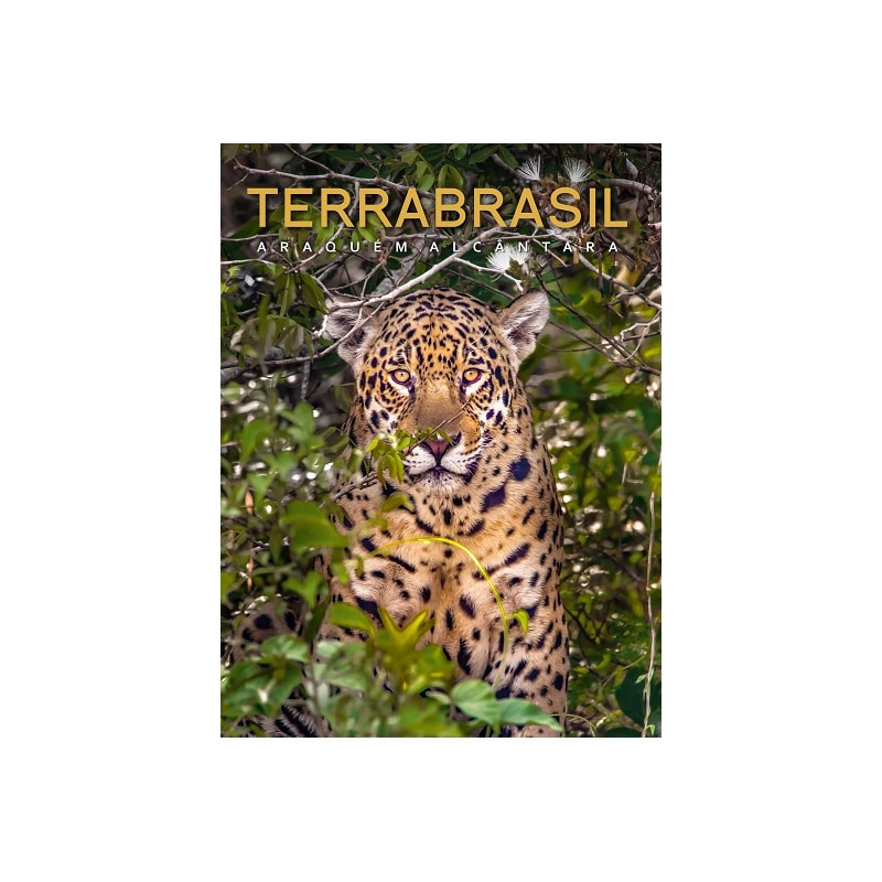 TerraBrasil
