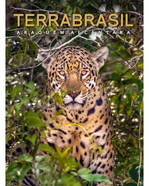 TERRABRASIL