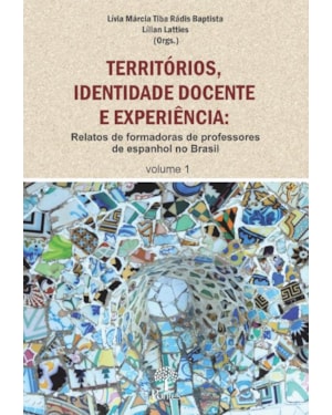 TERRITÓRIOS, IDENTIDADE DOCENTE E EXPERIÊNCIA