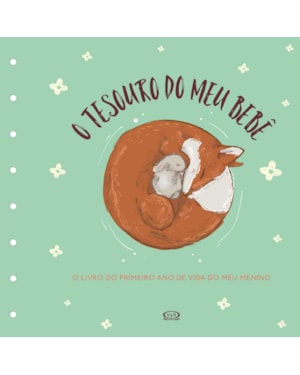 TESOURO DO MEU BEBÊ: O LIVRO DE RECORDAÇÕES (CAPA VERDE)