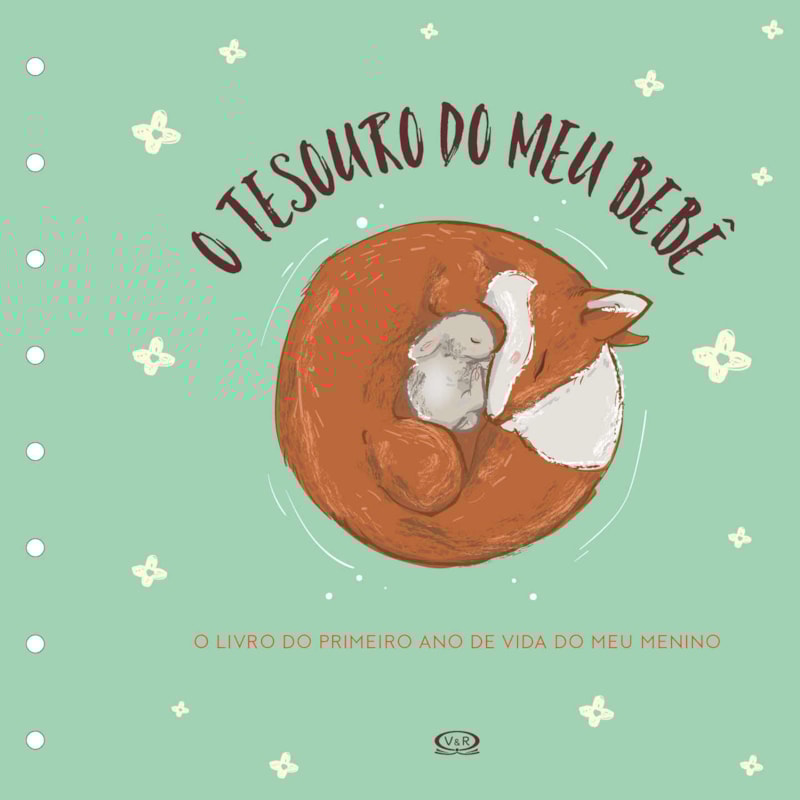 TESOURO DO MEU BEBÊ: O LIVRO DE RECORDAÇÕES (CAPA VERDE)