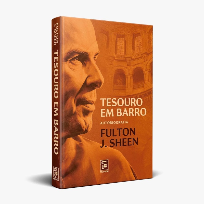 TESOURO EM BARRO - FULTON J. SHEEN