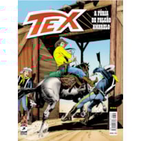 TEX 665: A FÚRIA DE FALCÃO AMARELO