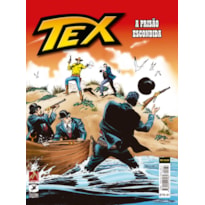 Tex 676: A prisão escondida