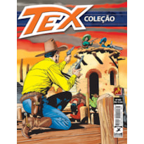 TEX COLEÇÃO Nº 493 - DESAFIO NA SIERRA