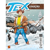 TEX COLEÇÃO Nº 499 - TEMPESTADE NAS MONTANHAS ROCHOSAS - VOL. 499