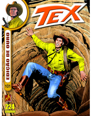 TEX EDIÇÃO DE OURO Nº 101 - A ÚLTIMA DILIGÊNCIA - VOL. 101