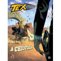 TEX GRAPHIC NOVEL Nº 09 - A CHICOTADA - VOL. 09