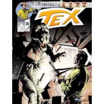 TEX PLATINUM Nº 35 - AVENTURA NO CARIBE - VOL. 35