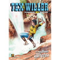 TEX WILLER Nº 34: NAS MONTANHAS ATASCOSA