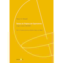 Textos do Trópico de Capricórnio: artigos e ensaios (1980-2005): circuitos de arte na América Latina e no Brasil