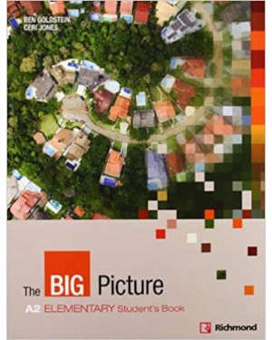 THE BIG PICTURE 1 STDS BK