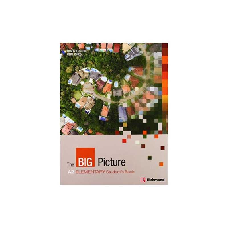 THE BIG PICTURE 1 STDS BK
