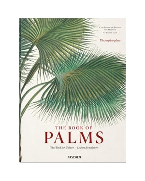The book of palms