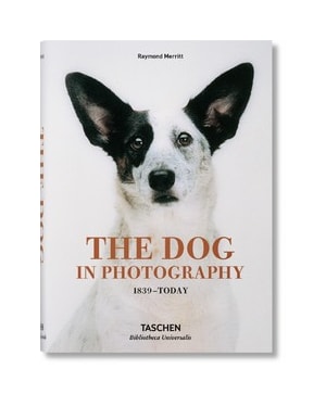 The Dog in photography 1839 - today