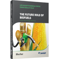 The future role of biofuels in the new energy transition: lessons and perspectives of biofuels in Brazil
