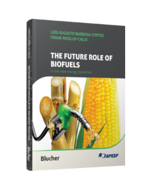 The future role of biofuels in the new energy transition: lessons and perspectives of biofuels in Brazil