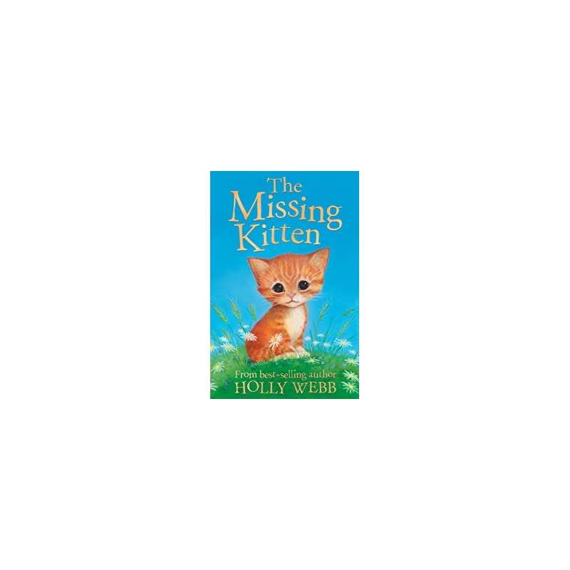 THE MISSING KITTEN - PB