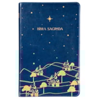 THE PURPOSE BOOK: BÍBLIA SAGRADA, A21, CAPA COURO-SOFT AZUL, REINO