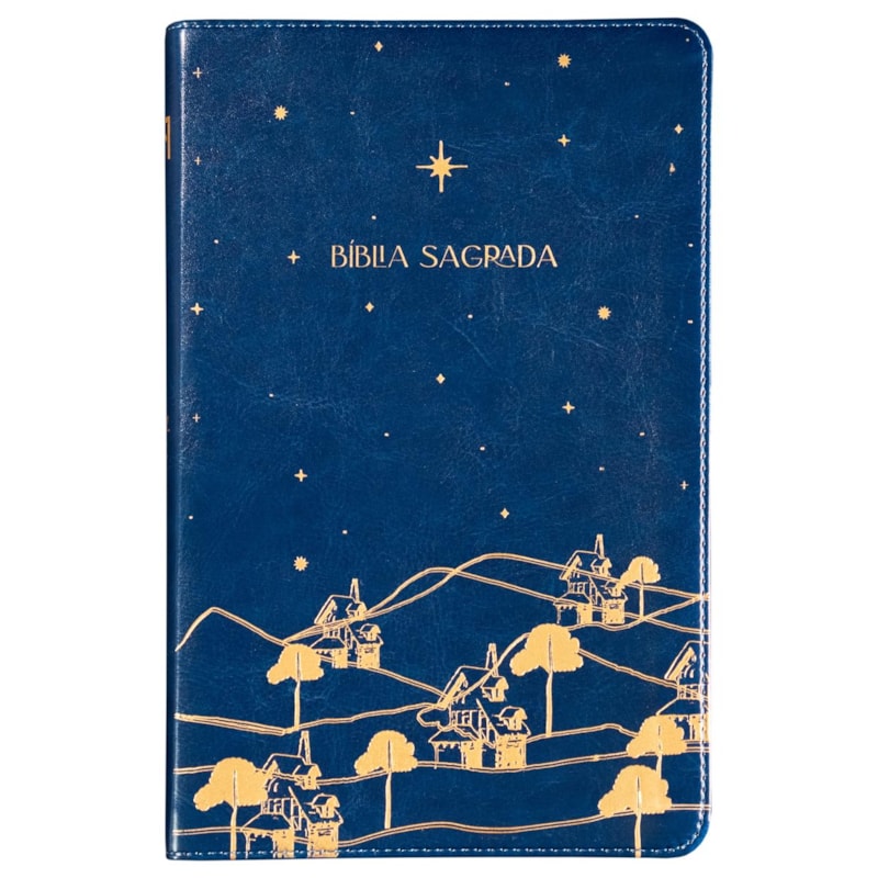 THE PURPOSE BOOK: BÍBLIA SAGRADA, A21, CAPA COURO-SOFT AZUL, REINO