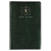 THE PURPOSE BOOK: BÍBLIA SAGRADA, A21, CAPA COURO-SOFT VERDE, LUZ