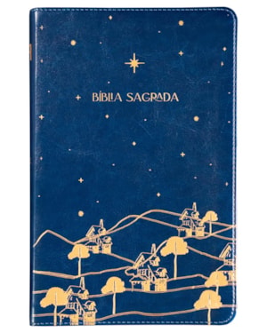 THE PURPOSE BOOK: BÍBLIA SAGRADA, A21, CAPA LUXO AZUL, REINO