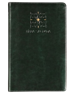 THE PURPOSE BOOK: BÍBLIA SAGRADA, A21, CAPA LUXO VERDE, LUZ