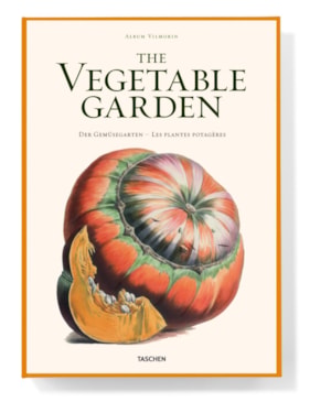 The vegetable garden