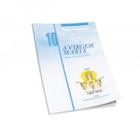 Theotokos volume 10: a virgem maria segundo o papa sao joao