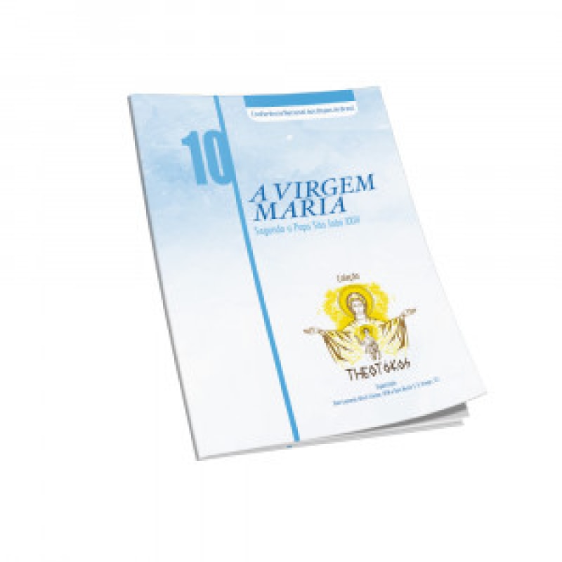 Theotokos volume 10: a virgem maria segundo o papa sao joao