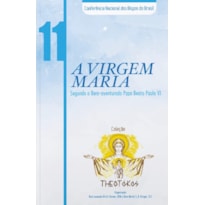 Theotokos volume 11: a virgem maria segundo o bem aventurado