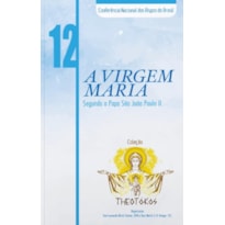 Theotokos volume 12: a virgem maria segundo o papa sao joao