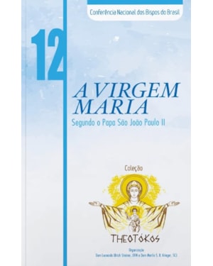 Theotokos volume 12: a virgem maria segundo o papa sao joao