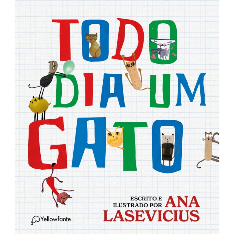 TODO DIA UM GATO