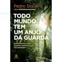 TODO MUNDO TEM UM ANJO DA GUARDA: ENSINAMENTOS SOBRE OS SERES ESPIRITUAIS QUE NOS PROTEGEM