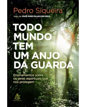 TODO MUNDO TEM UM ANJO DA GUARDA: ENSINAMENTOS SOBRE OS SERES ESPIRITUAIS QUE NOS PROTEGEM