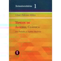TÓPICOS DE ÁLGEBRA CLÁSSICA: UM PRELÚDIO À ÁLGEBRA MODERNA