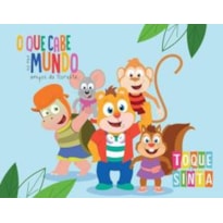 TOQUE E SINTA: O QUE CABE NO MEU MUNDO