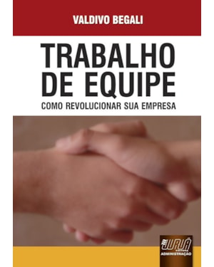 TRABALHO DE EQUIPE - COMO REVOLUCIONAR SUA EMPRESA