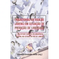 Trajetórias de vida de jovens em situação de privação de liberdade: um estudo sobre a delinquência juvenil no estado do Rio de Janeiro