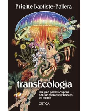 TRANSECOLOGIA: UM GUIA PATAFÍSICO PARA HABITAR AS TRANSFORMAÇÕES DO MUNDO