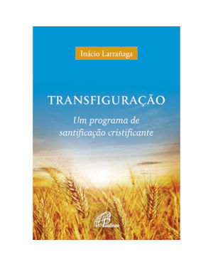 Transfiguração: um programa de santificação cristificante