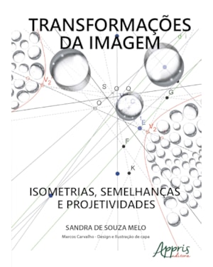 TRANSFORMAÇÕES DA IMAGEM: ISOMETRIAS, SEMELHANÇAS E PROJETIVIDADES