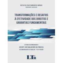 TRANSFORMAÇÕES E DESAFIOS À EFETIVIDADE DOS DIREITOS E GARANTIAS FUNDAMENTAIS